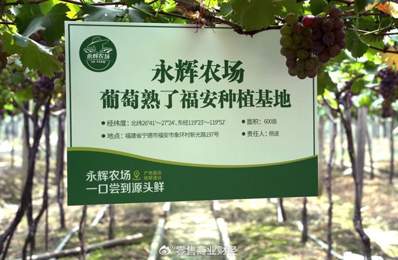 福建商贸批发